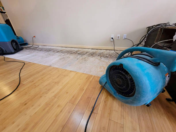 Professional Burst Pipe Water Damage technician working in Stockton, KS